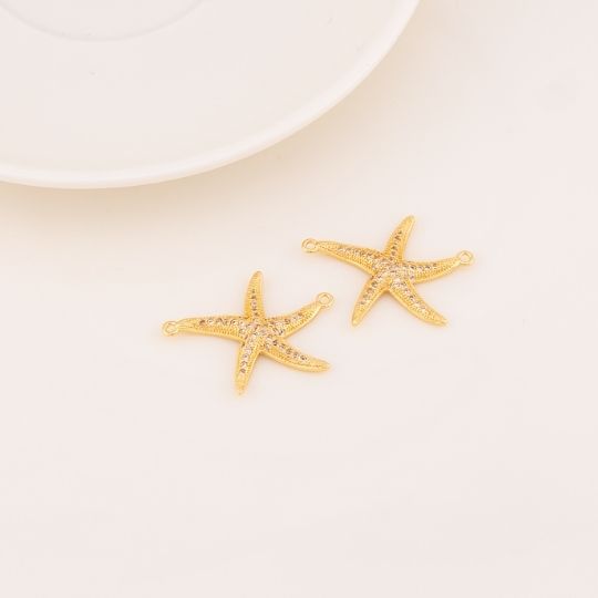 Enlace estrella de mar en micropave
