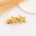 Gancho de pelo de estrella de mar acero inoxidable