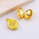 Dije relicario ovalado decoracion flor con zirconias, esmaltado con baño 18k