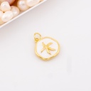 Dije con decoracion de estrella esmaltado  baño 18k