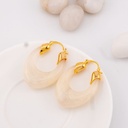 Aretes hoops carey acrilico baño 18k pin de plata