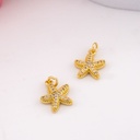 Dije estrella de mar con zirconias baño 18k