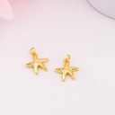 Dije estrella de mar baño 18k