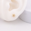 Piercings de estrella con zirconias baño 18k