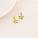 Dije estrella de mar en micropave
