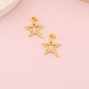 Dije de estrella micropave