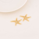 Enlace estrella de mar en micropave