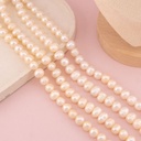 Perla papa premium AAA 10mm 