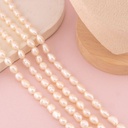 Perla arroz premium AAA 7-8mm 