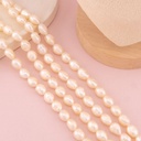 Perla arroz nugget premium AAA 8-9mm 
